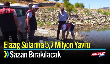 Elazığ Sularına 5,7 Milyon Yavru Sazan Bırakılacak