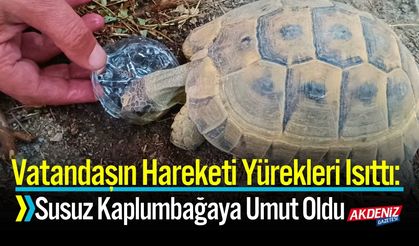 Duyarlı Vatandaş, Susuz Kaplumbağaya Umut Oldu