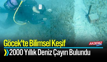Göcek'te Bilimsel Keşif: 2000 Yıllık Deniz Çayırı Bulundu