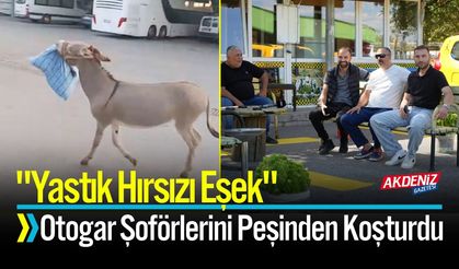 “Yastık Hırsızı Eşek” Otogar Şoförlerini Peşinden Koşturdu