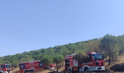 Susurluk’ta orman yangını kontrol altına alındı