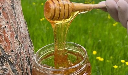 Tunceli’de 2025 Yılı Bal Alım Fiyatları Belirlendi