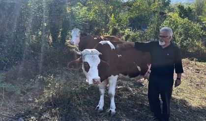12 Aileye ORKÖY Projesi Kapsamında Hibe ve Destek