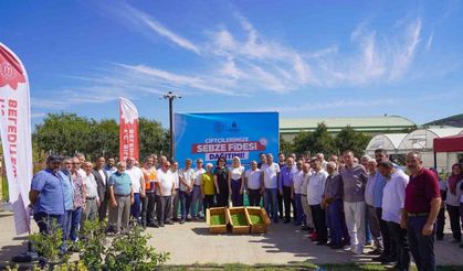 77 bin 400 fide toprakla buluşmak üzere çiftçilere dağıtıldı