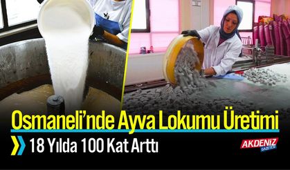 Osmaneli’nde Ayva Lokumu Üretimi 18 Yılda 100 Kat Arttı