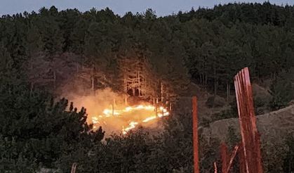 Bingöl’de çıkan orman yangını kontrol altına alındı