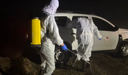 Gümüşhane’de Şap Hastalığı: 5 Köyde Hayvancılık Durduruldu