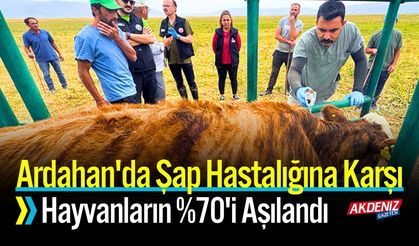 Ardahan'da Şap Hastalığına Karşı Hayvanların %70'i Aşılandı
