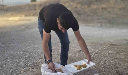 İnşaat Ustası'ndan Sokak Hayvanlarına Örnek Davranış