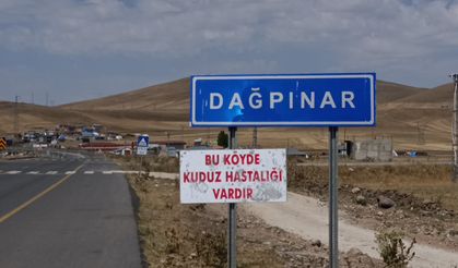 Kars'ta Kuduz Alarmı: Bir Belde Karantinaya Alındı