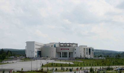 Kastamonu Üniversitesi, "Ambrosia" Polenlerini İnceleyecek