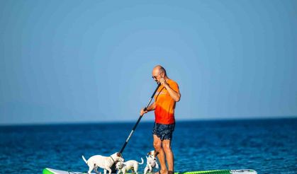 Köpekleriyle deniz keyfi ilgi odağı oldu
