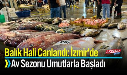 Balık Hali Canlandı: İzmir'de Av Sezonu Umutlarla Başladı