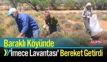 Baraklı Köyünde 'İmece Lavantası' Bereket Getirdi