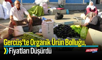 Gercüş'te Organik Ürün Bolluğu, Fiyatları Düşürdü