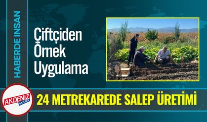 Çiftçiden Örnek Uygulama: 24 Metrekarede Salep Üretimi