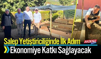 Dinar'da Sezonun İlk Salep Ekimi