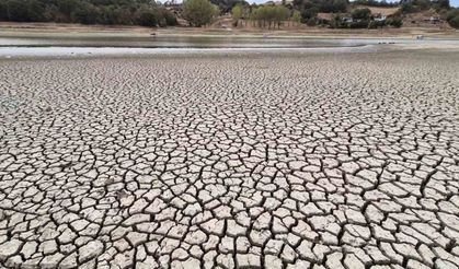 Tekirdağ Bıyıkali Göleti'nde Su Seviyesi Alarm Veriyor