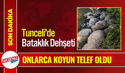 Tunceli'de Sürü İzdihamı: 29 Koyun Telef Oldu