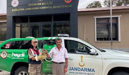 Yaralı Şahin’e jandarmadan şefkat eli