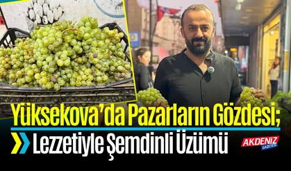 Yüksekova’da Pazarların Gözdesi: Lezzetiyle Şemdinli Üzümü
