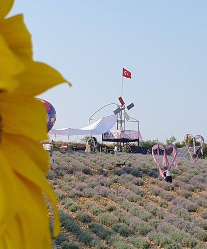Osmaniye'de Lavanta ve Zeytin Çiçeği Festivali Başlıyor