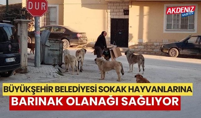 Mersin Büyükşehir Belediyesi sokak hayvanlarına barınak olanağı sağlıyor