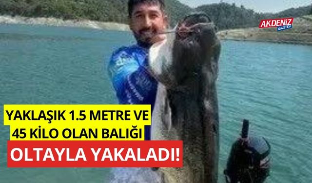 Yaklaşık 1.5 metre, 45 kilo balığı oltayla yakaladı