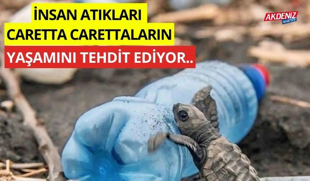 İnsan atıkları, Caretta carettaların yaşamını tehdit ediyor