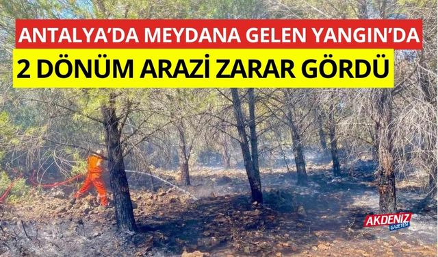 Antalya’da 2 dönüm ormanlık alan yandı