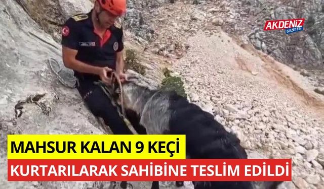 Mahsur kalan 9 keçi kurtarılarak sahibine teslim edildi