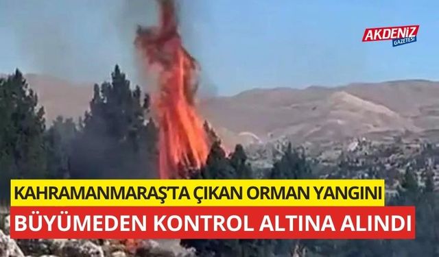 Kahramanmaraş’ta çıkan orman yangını büyümeden söndürüldü