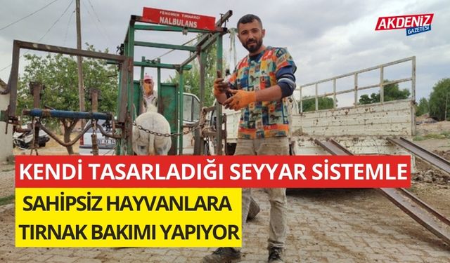 Kendi tasarladığı seyyar sistemle sahipsiz hayvanlara tırnak bakımı yapıyor