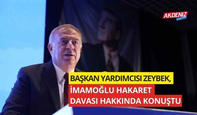 Başkan Yardımcısı Zeybek, İmamoğlu hakaret davası hakkında konuştu