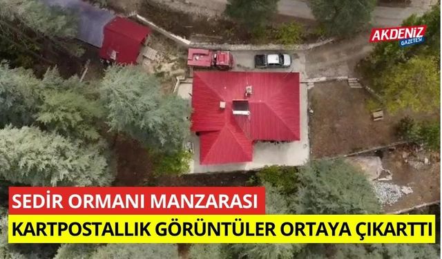 Sedir ormanı manzarası kartpostallık görüntüler ortaya çıkarttı