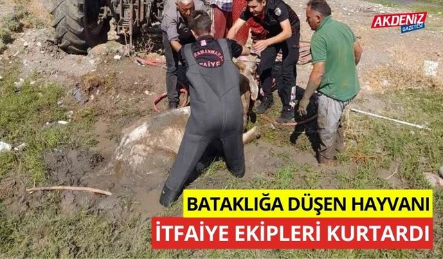 Bataklığa düşen hayvanı itfaiye ekipleri kurtardı