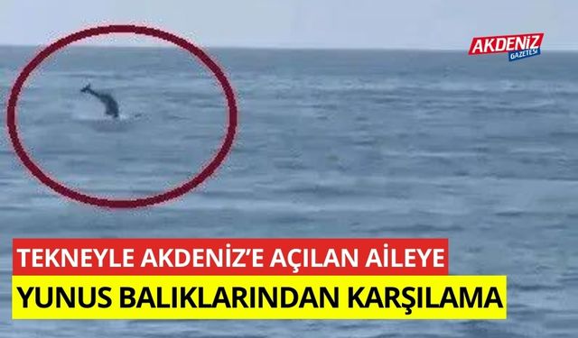 Tekneyle Akdeniz'e açılan aileye yunus balıklarından karşılama