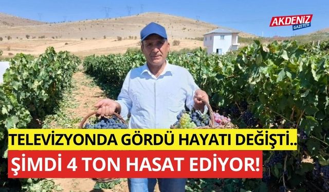 Televizyonda gördü hayatı değişti, şimdi 4 ton hasat ediyor