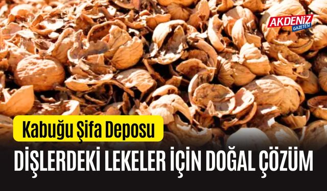 Kabuğu Şifa Deposu Dişlerdeki Lekeler için Doğal Çözüm