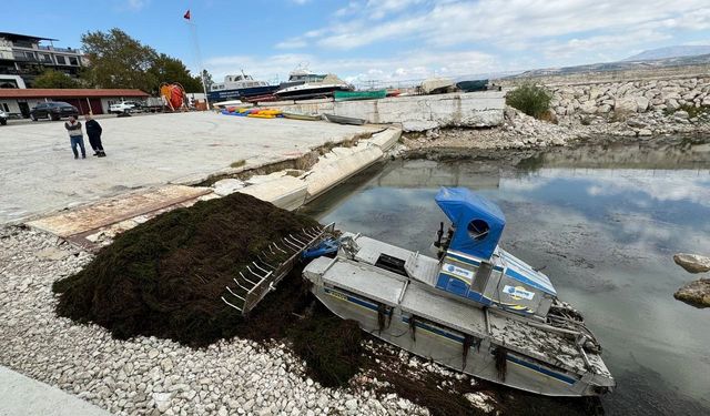 Ekipler kolları sıvadı kötü görüntü ve kokuya karşı harekete geçildi