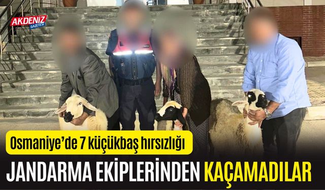 OSMANİYE'DE KÜÇÜKBAŞ HAYVAN HIRSIZLIĞI ŞÜPHELİSİ 3 KİŞİ YAKALANDI