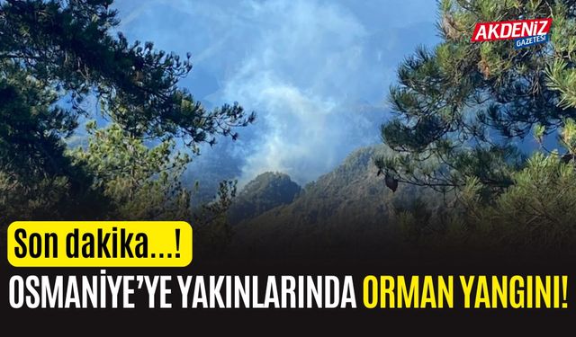 SON DAKİKA! OSMANİYE VE HATAY ARASINDA YANGIN!