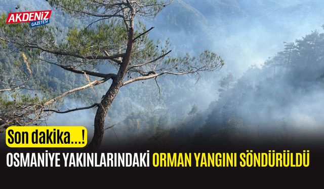 OSMANİYE YAKINLARINDAKİ YANGIN 28.  SAATTE KONTROL ALTINDA