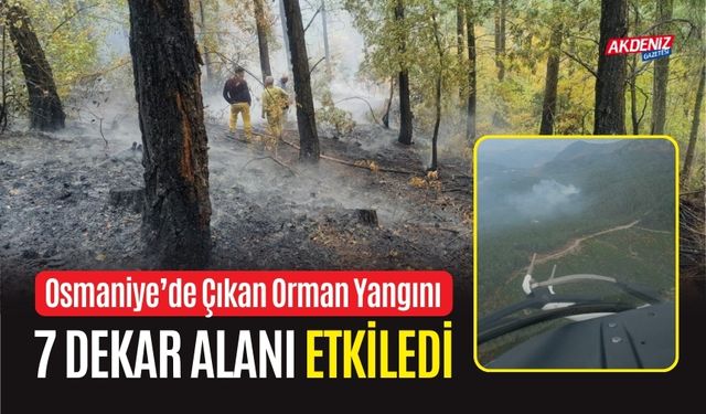 OSMANİYE’DE ÇIKAN ORMAN YANGINI 7 DEKAR ALANI ETKİLEDİ