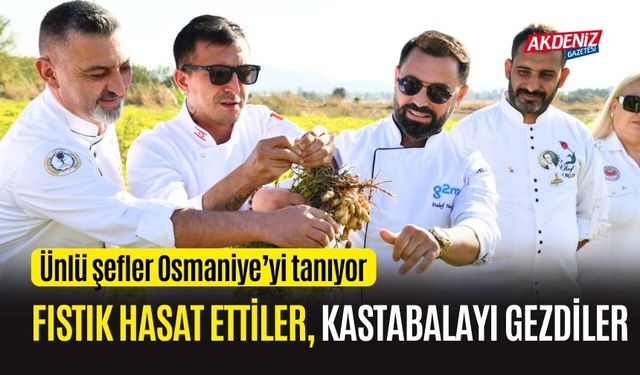 OSMANİYE'DE BULUNAN ÜNLÜ ŞEFLER, FISTIK HASAT ETTİ, KİLİM DOKUDU