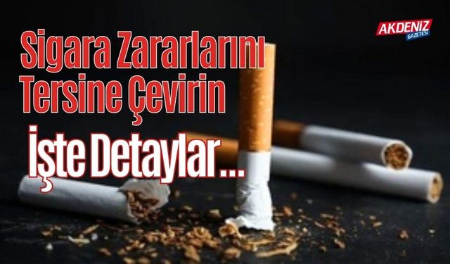 Sigara Zararlarını Tersine Çevirin: İşte Detaylar