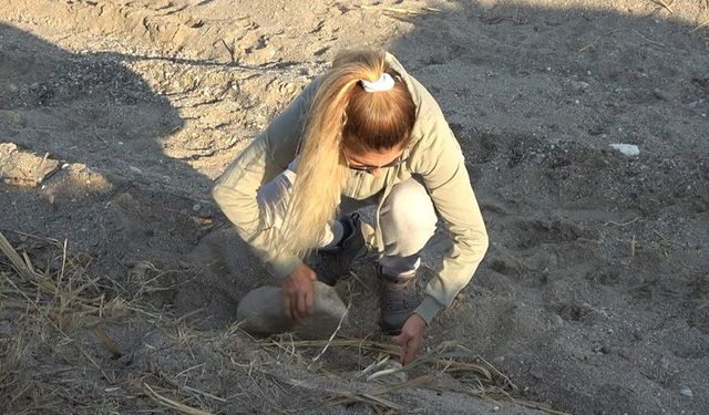 Alanya’da Doğal Miras Tahrip Edildi