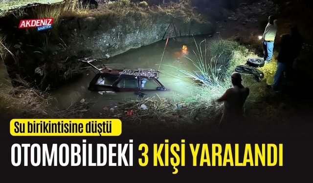 OSMANİYE'DE SU BİRİKİNTİSİNE DÜŞEN ARAÇTAKİ 3 KİŞİ YARALANDI