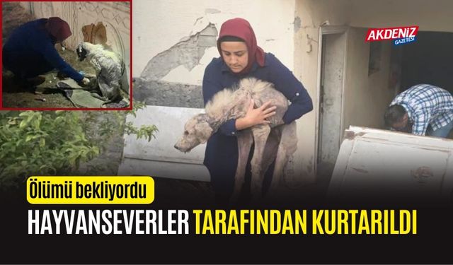 OSMANİYE'DE HASARLI BİNADA ÖLÜMÜ BEKLERKEN KURTARILDI