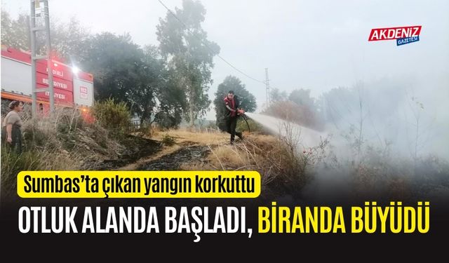 OSMANİYE'DE OTLUK ALANDA ÇIKAN YANGIN BİRANDA BÜYÜDÜ